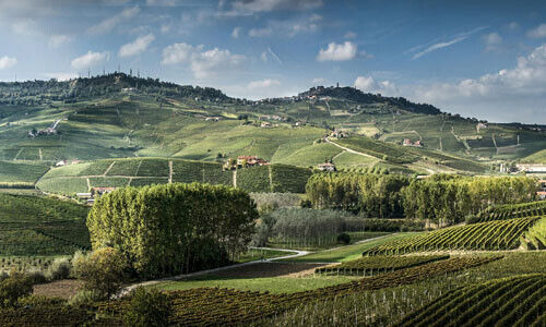 Langa del Nebbiolo (Bild: Luciano Sandrone)