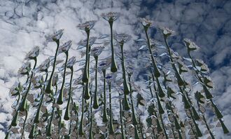 SolarSunflowers (Bild: o. A.)