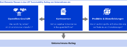 VSV Partnerartikel Grafik de