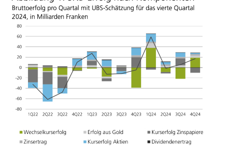 snb erfolg komponenten q4 2024 s