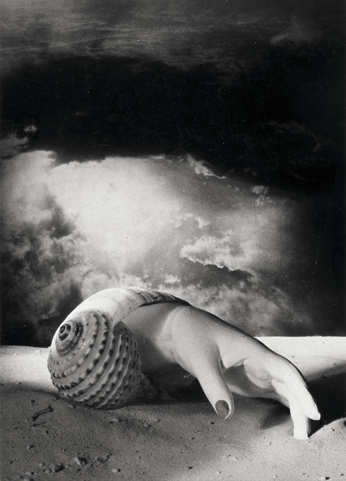 Dora Maar Sans titre Main coquillage 1934 680